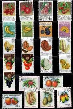 50Pcs/Lot Vaisių pašto ženklų tema skiriasi nuo daugelio šalių JOKIŲ pakartotinių pašto ženklų su pašto ženklu kolekcionavimui